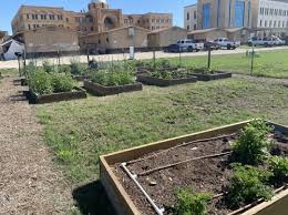 Campus Garden Greenhouse Texas A M