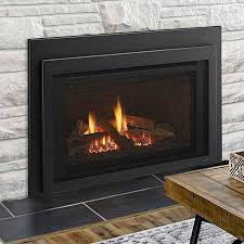 Best Gas Fireplace Inserts Fireplaces