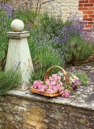 The Grove S Garden Flower