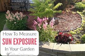 Determine Sun Exposure In Your Garden
