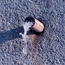 Leaking Toilets Tauranga Mt