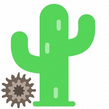 Cactus Desert Lonely Southwest