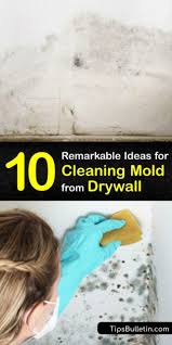 10 Remarkable Ideas For Cleaning Mold