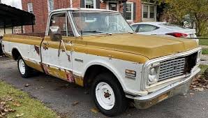 Zombified 1971 Chevy C10 Crying Out To