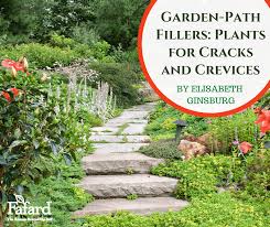 Garden Path Fillers Plants For S