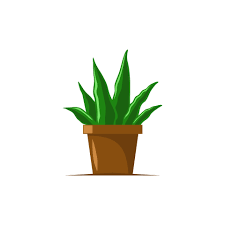 Potted Plant Vector Ilration Plant