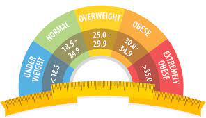 Bmi Calculator Calculate Bmi For Your