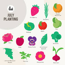 July Gardening Guide