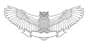 100 000 Eagle Owl Vector Images