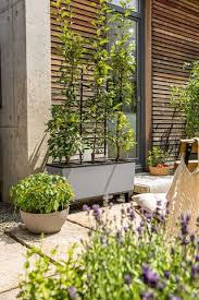 Kitchen Garden Ideas 12 Stylish
