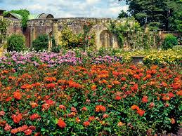 Beautiful Rose Gardens To Visit In July