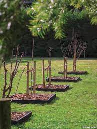 How To Create Timber Garden Edging