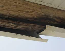 replacing rotted beams on a seaside