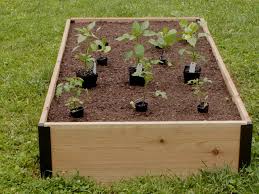 Gardening With Raised Beds