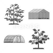 Plant Symbol Set Of Greenhouse