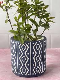 Round Pots For Indoor Plants
