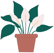 Safe Flowers