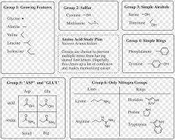 Amino Acid Medical College Admission