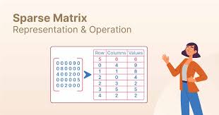 Sparse Matrix Representation And