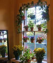 15 Beautiful Window Gardens Indoor