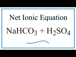 Nahco3 H2so4 Na2so4 Co2 H2o