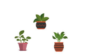 Beautiful Potted Plant Icon Graphic By