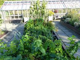 Raised Bed Garden Layout Plans The