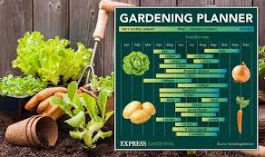 Gardening Calendar The Best Time To