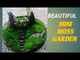 How To Make Moss Garden Miniature