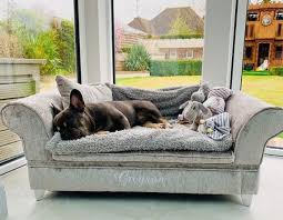 Luxury Dog Sofa Uk
