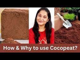 Coco Peat Cocopeat Gardening
