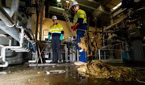 Fatbergs Clogging Up Canberra