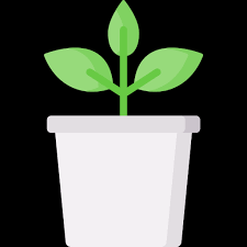 Plant Pot Special Flat Icon