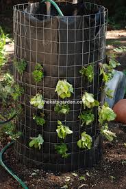 Vertical Vegetable Garden Diys And How Tos