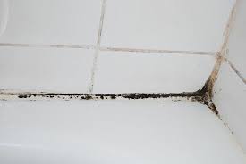 Five Ways To Stop Bathroom Mould