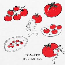 Tomato Ilration Clip Art Doodle