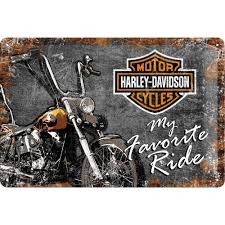 Harley Davidson My Favorite Ride