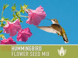 Hummingbird Garden Flower Mix Flower