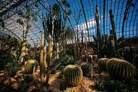 Chicago Conservatories Lincoln Park