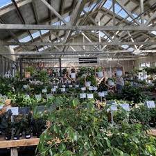 Indoor Plant Nursery In Lancaster Pa