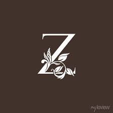 Letter Z Luxury Logo Icon Design