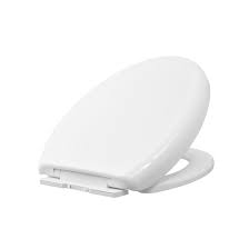 Project Source Elongated Toilet Seat