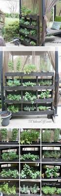 21 Best Patio Herb Gardens Ideas Herb