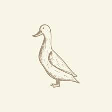 Duck Line Engraved Vintage Logo Vector