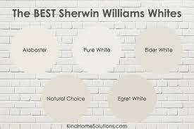 Best Sherwin Williams White Kind Home
