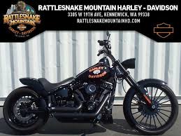 2019 Harley Davidson Fxbrs Softail