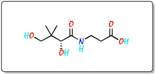 Pantothenic Acid Chemistry
