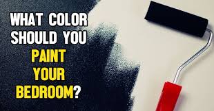 Paint Your Bedroom Quizlady