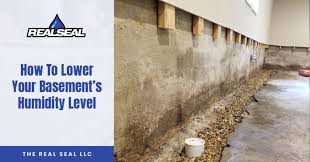How To Lower Your Basement S Humidity Level