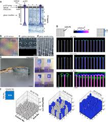 An Optrode Array For Spatiotemply